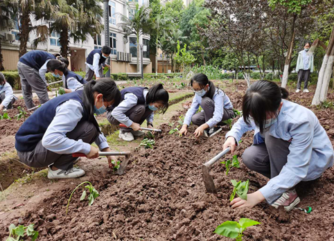 "我劳动 我快乐" 两江新区学生在劳动中学习