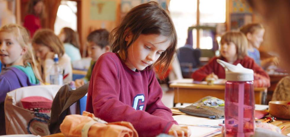 junior school | our auckland steiner school