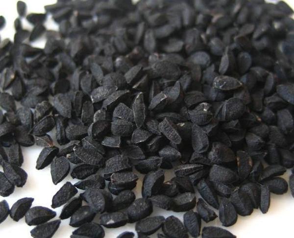 黑种草子的功效与作用_黑种草子的价格多少钱一斤