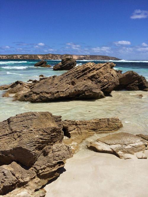 南澳艾尔半岛四天三夜自然生态之旅 - 南澳大利亚游记
