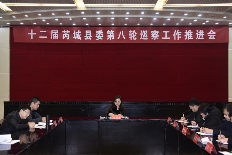 芮城县召开第八轮巡察工作推进会