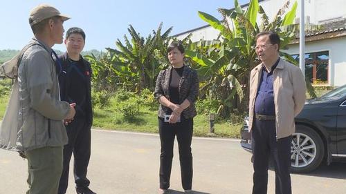 邓娟调研文化旅游复工复产和疫情防控工作