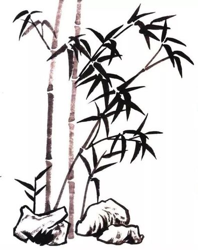 中国画入门 竹子篇太详细了!国画教程