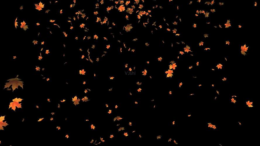 秋风扫落叶秋天红叶枫叶落下