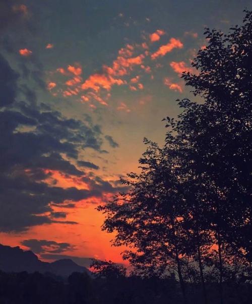 是你正要找的那些关于晚霞的文案和照片吗?#爱在日落