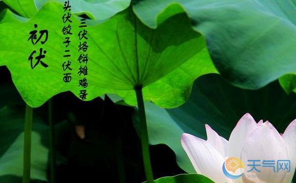 2016年初伏是哪一天 2016初伏是什么时候