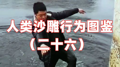 人类沙雕行为图鉴(二十六)