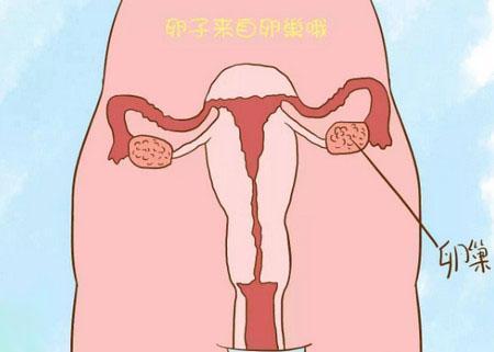 容易怀孕的女性一般都会有这五个特征, 想要孩子的最