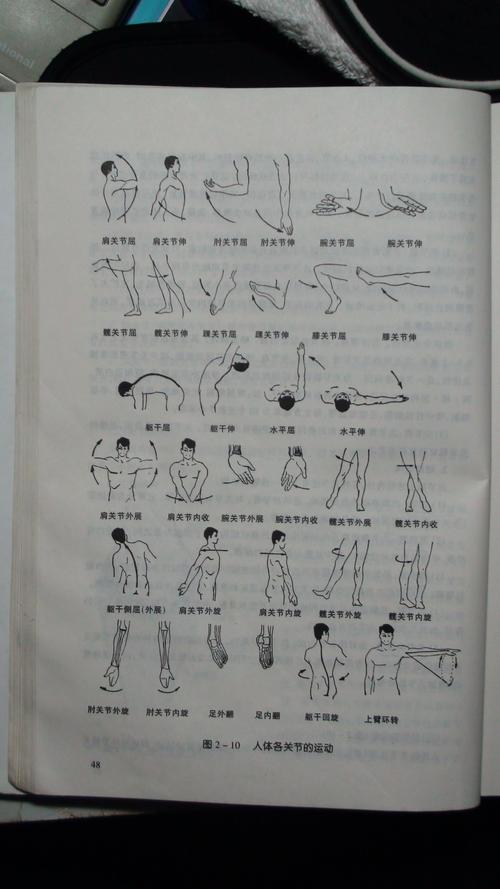 肩关节屈伸收展什么意思