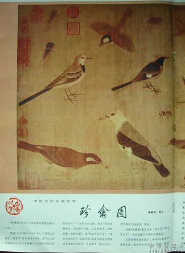 中国古代名画图片珍禽图(五代黄筌《写生珍禽图》