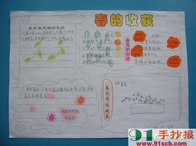 我要写关于春天的手抄报 春天的手抄报
