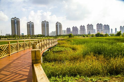 哈尔滨市,群力外滩湿地公园(之一)