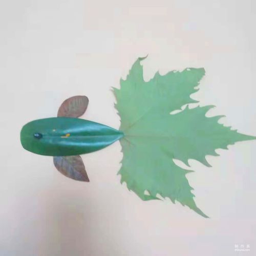 漂亮金鱼的树叶手工贴画拼贴图解