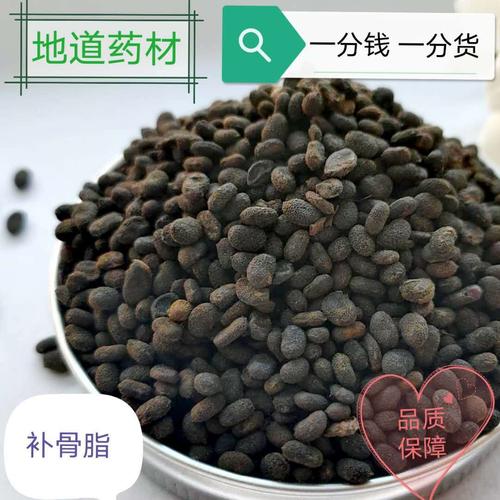 中药材批发补骨脂 无硫新货 胡韭子破故纸 量大从优 支持药检