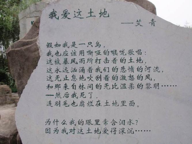 艾青的我爱这土地全文感情基调