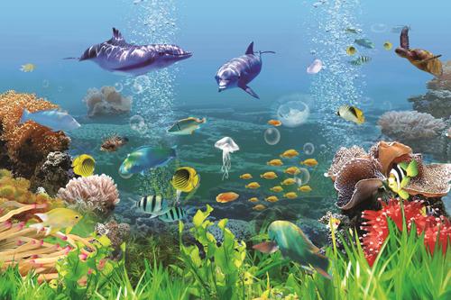 高清喷绘油画海底世界风景装饰画客厅玄关走廊餐厅卧室 dwg1009