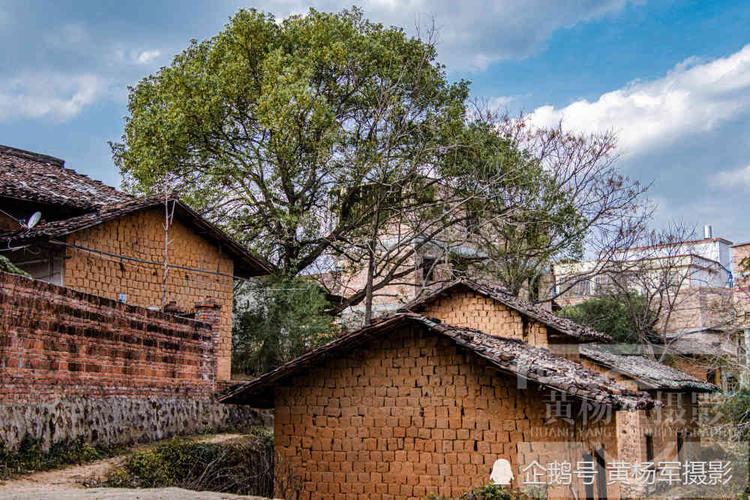 土砖瓦房一栋栋坐落在生活气息浓郁的乡村.