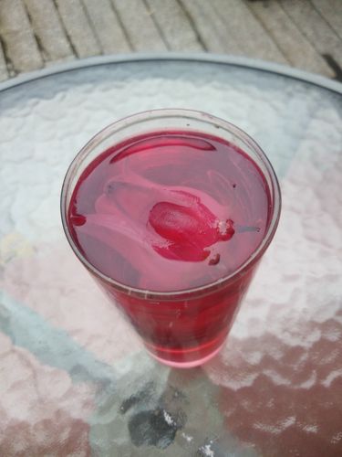 其它 红桃k熟了 写美篇 红桃k是一种补血果,泡茶,泡酒能起到利尿,降