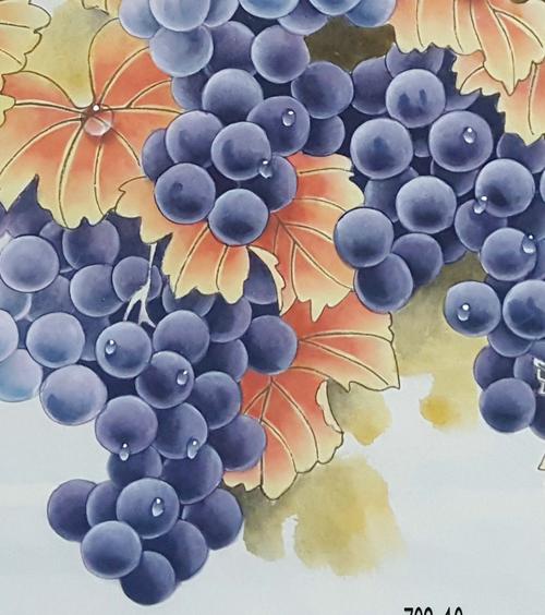 《工笔葡萄》