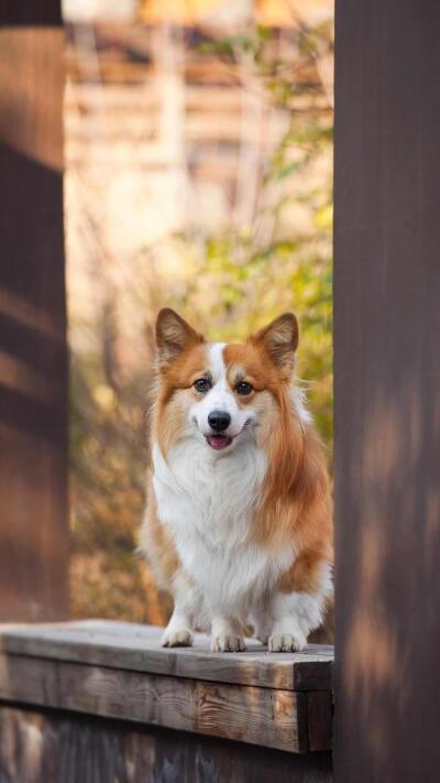 华为杂志锁屏 - 堆糖,美图壁纸兴趣社区