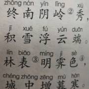 终南望余雪唐祖咏
