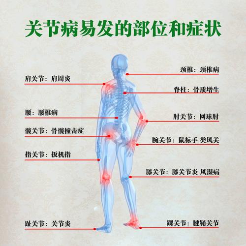 身体太多关节部位需要我们细心呵护
