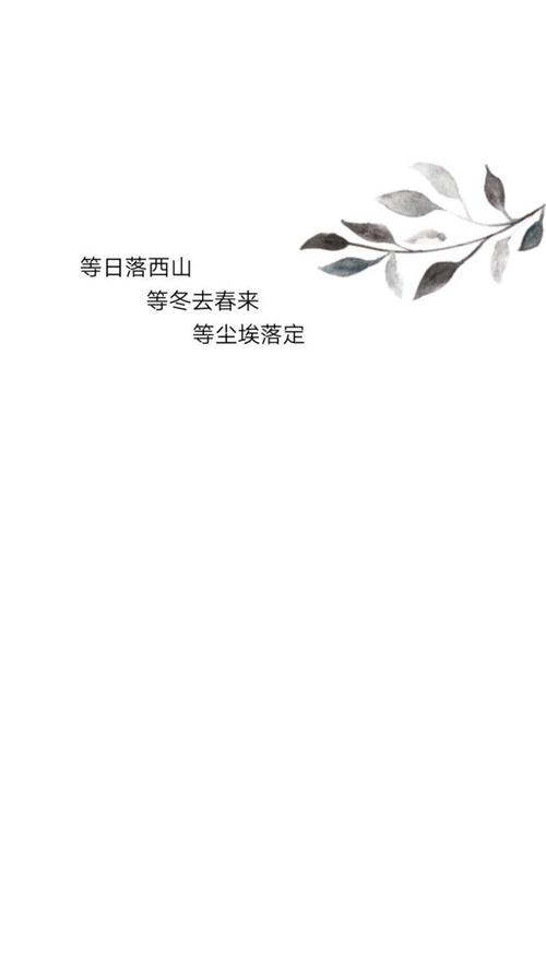 白色壁纸