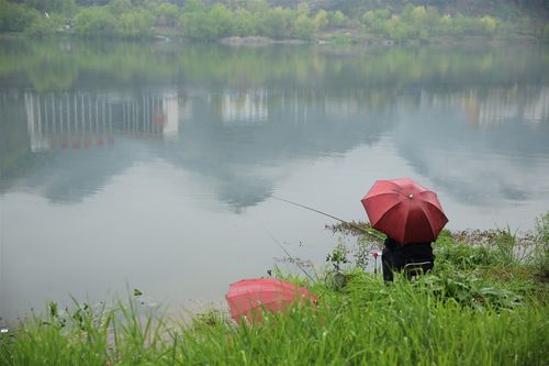 江边垂钓