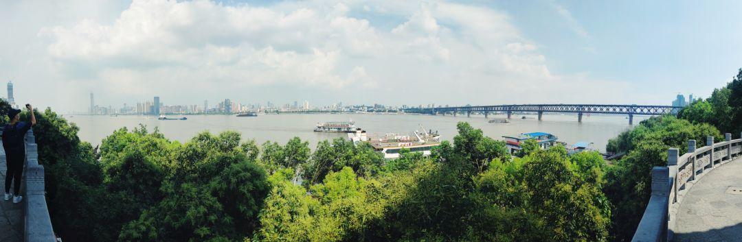 图源:智慧武汉阳