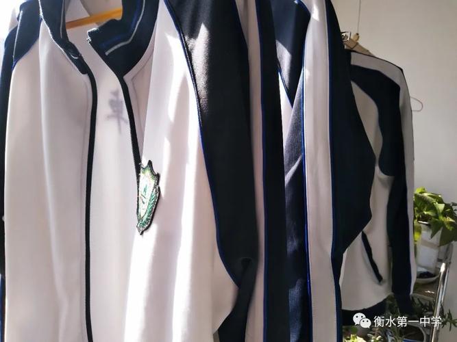 衡水一中学生:我爱我的衡一校服