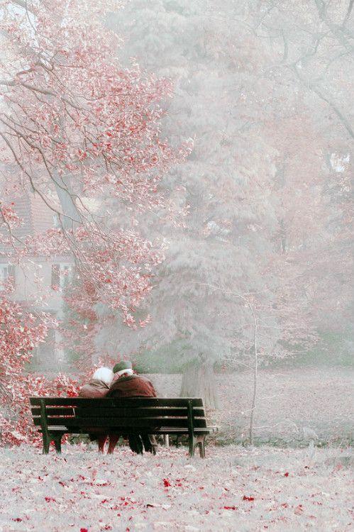 唯美意境(一)-桃花平子的相册