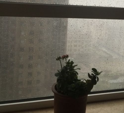 窗外下着暴雨,我静静听着雨声,梳理着自己的思绪.