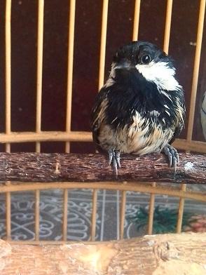 我海选的贝子与鸟友分享