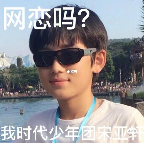 宋亚轩表情图_宋亚轩_素材_表情包