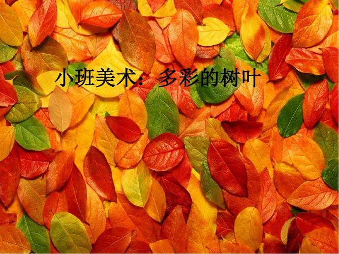 小班美术:多彩的树叶