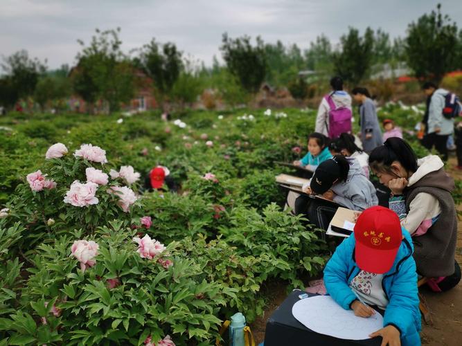 一一德州减河牡丹园记(b篇2019.4.29