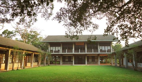 台湾最美大学,教堂和奶牛,才是这里的主角|东海大学|路思义教堂|奶牛