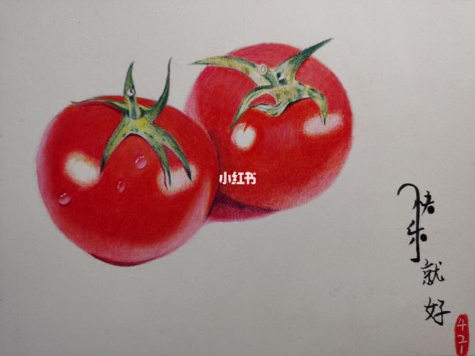 彩铅西红柿97_彩铅_炒蛋_文化_绘画