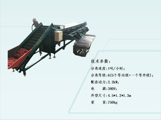 千禧果分选机圣女果选果机小西红柿分大小的机器厂家在山东龙口