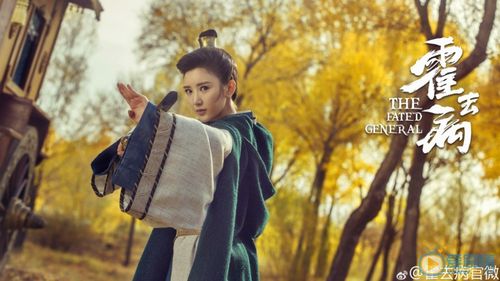 霍去病分集剧情介绍