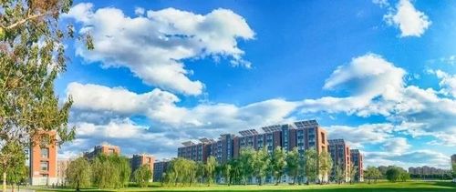国科大诚邀海外优秀青年人才加盟