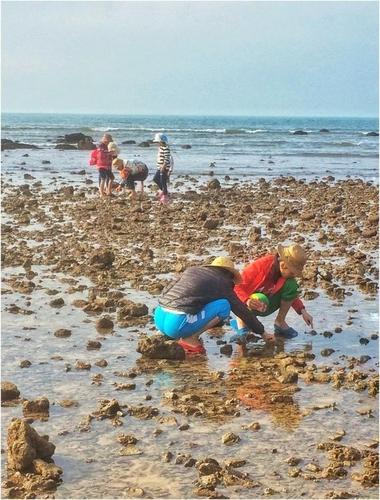 兴城游玩攻略兴城古城游玩攻略