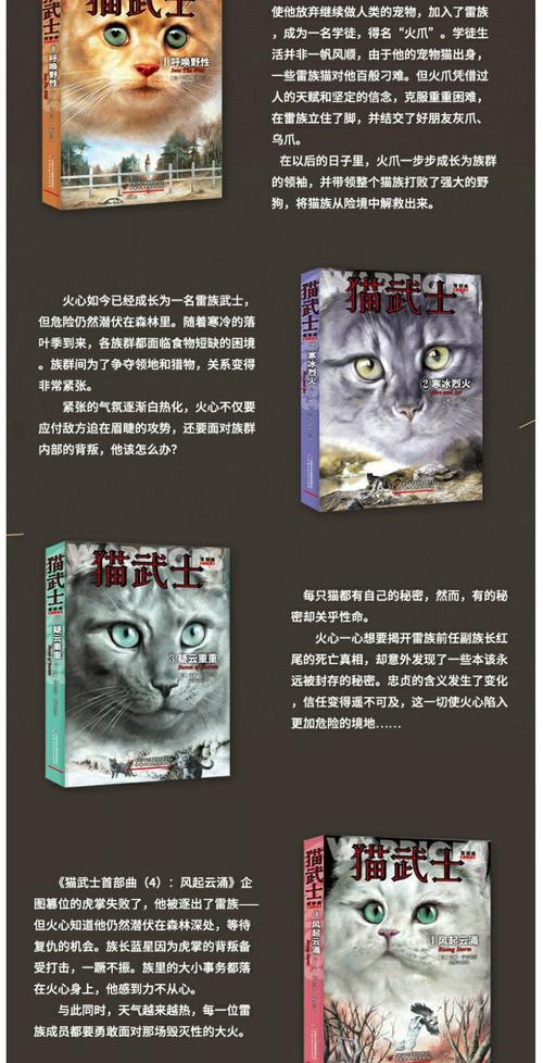 正版现货 猫武士一部曲-猫武士首部曲全6册中国少年儿童出版社呼唤