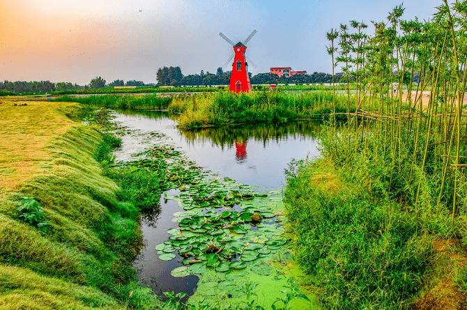 许昌这个湿地公园太太太惊艳了!_禹州市