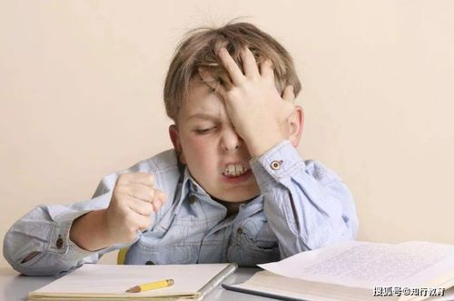 亲爱的孩子,作为过来人,知道此刻认真学习的你们很辛苦,每天早出晚归