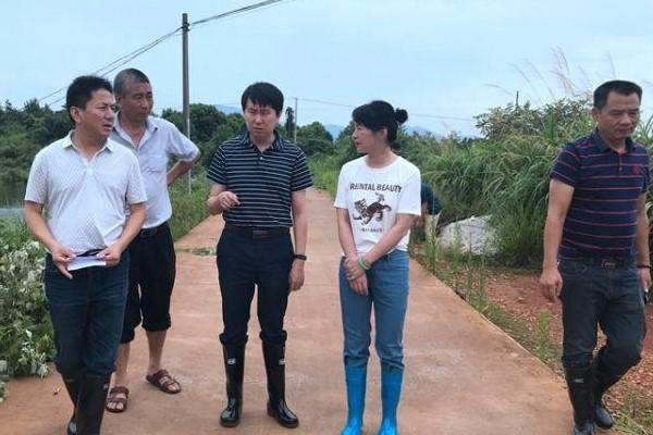 梁天琛到春联街道督查山塘水库安全工作