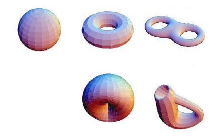 拓扑学是几何学的一个分支,它不关心一个物体的具体形状,而只关心