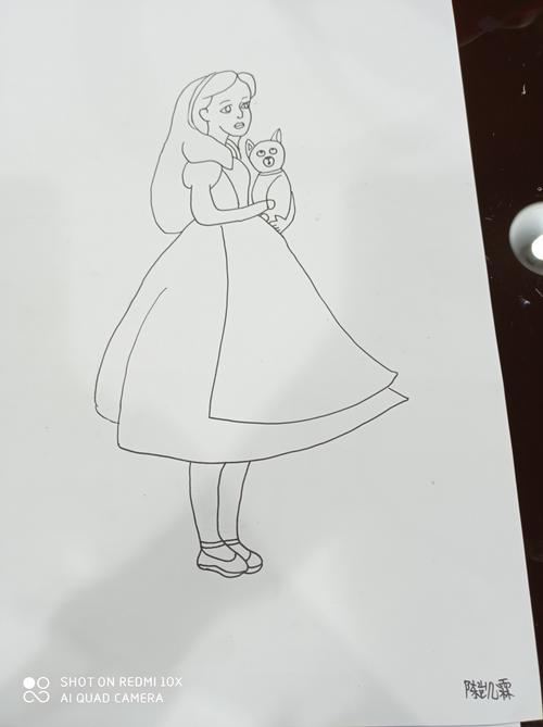 《爱丽丝梦游仙境》 写美篇 知识与技能:通过自己对爱丽丝人物角色的