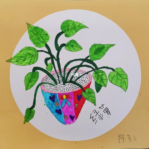 绿萝写生_绿萝_写生_创意美术_线条画_盆栽_儿童创意美术_文化_绘画