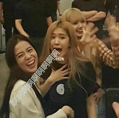 rose表情包_表情包_rose_rose朴彩英_素材_表情包